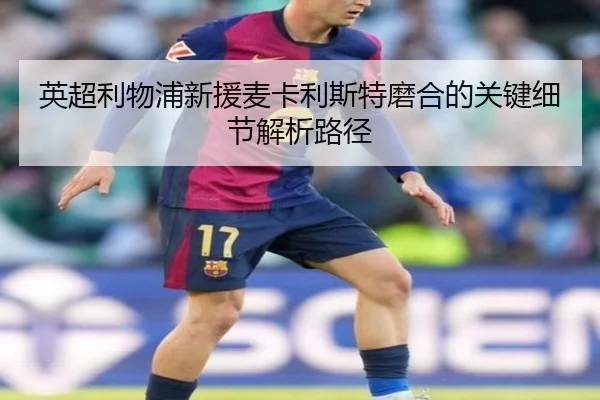 英超利物浦新援麦卡利斯特磨合的关键细节解析路径