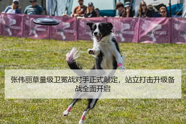 张伟丽草量级卫冕战对手正式敲定，站立打击升级备战全面开启